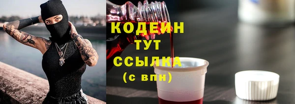 индика Богданович
